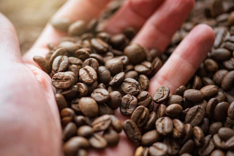 смешивать кофе или работать на моносорте бариста украина barista