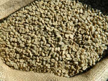 Peru organic Norandino green coffee beans C