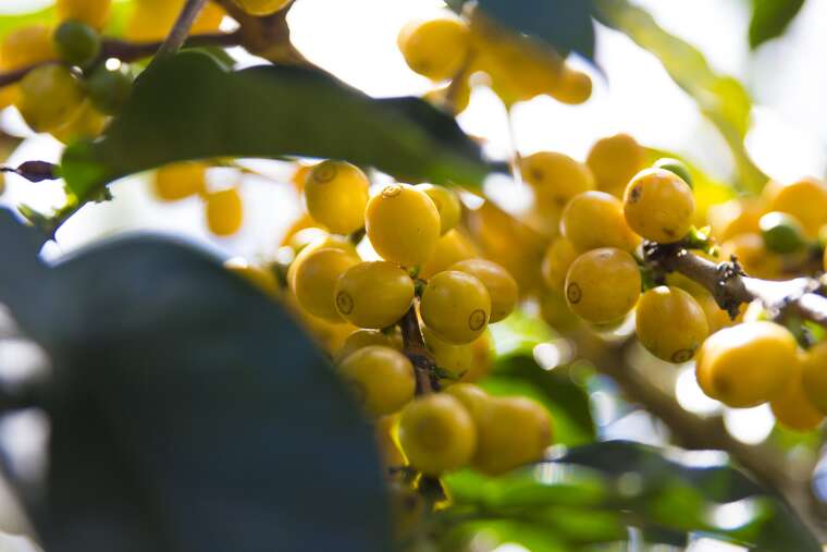 sourcing-02