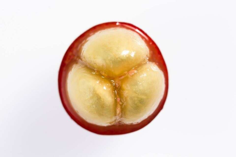 NTTg9DR9f8c