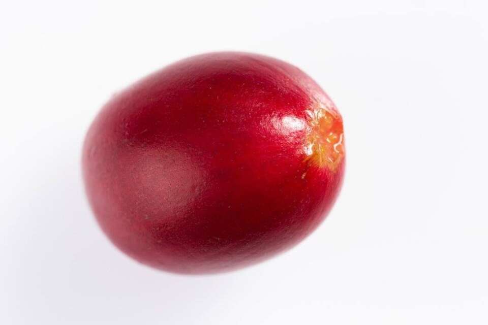 o9M1eWQfUUI