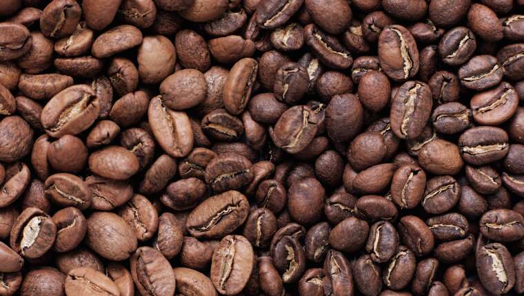 Barista Coffee Roasters-Blog-Beans