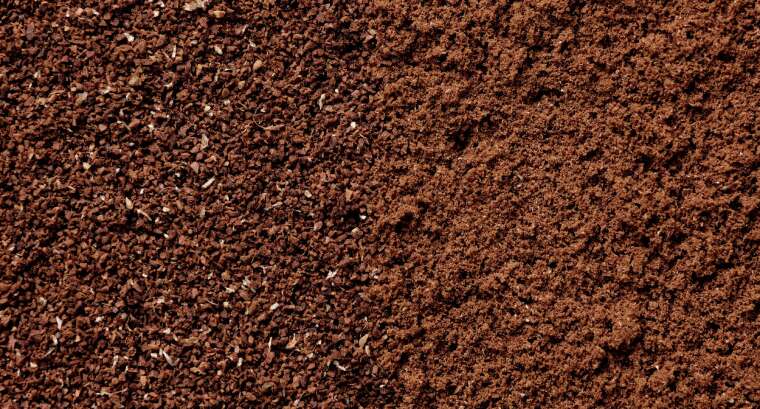 Barista Coffee Roasters-Blog-Grinds
